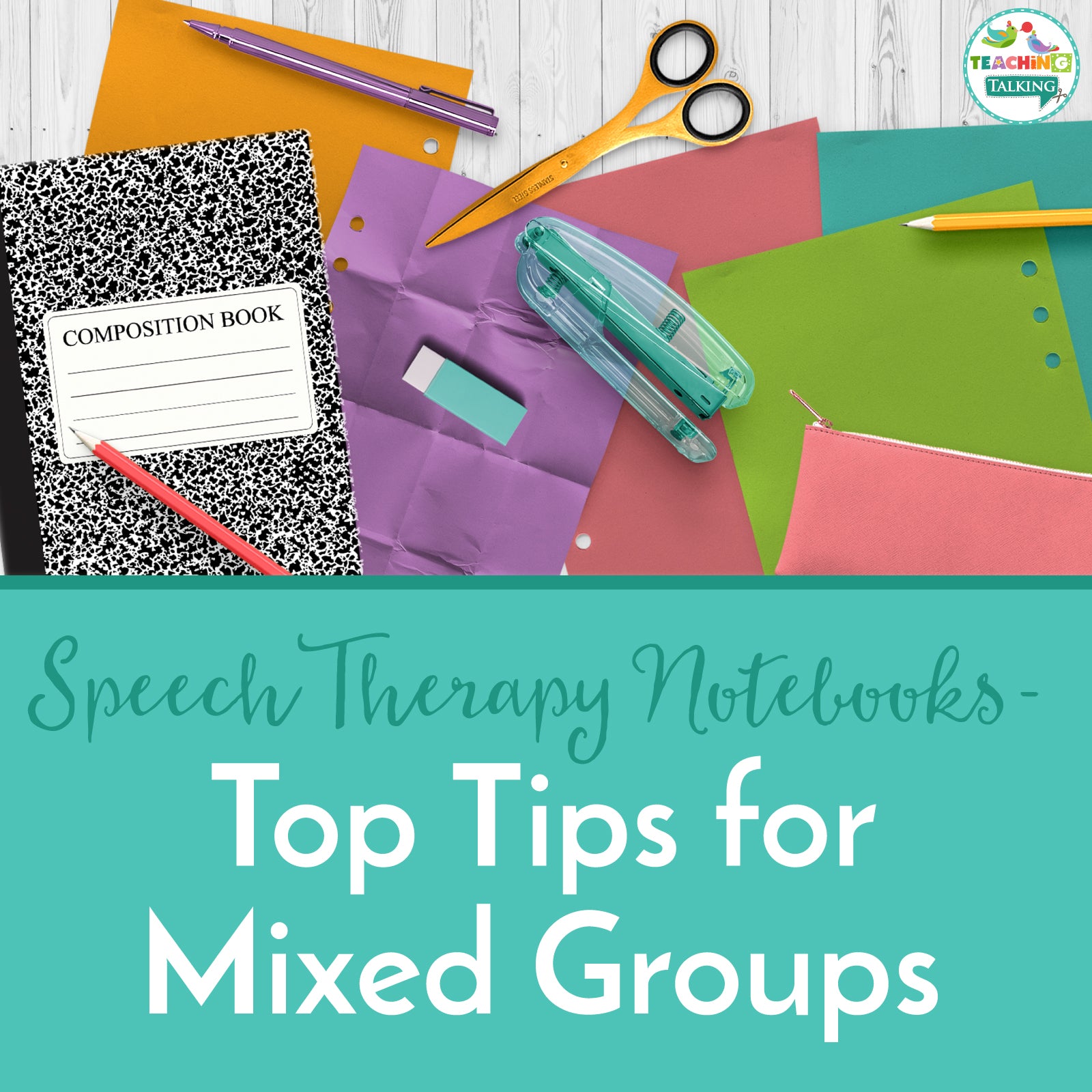 Speech therapy notebooks with mixed groups