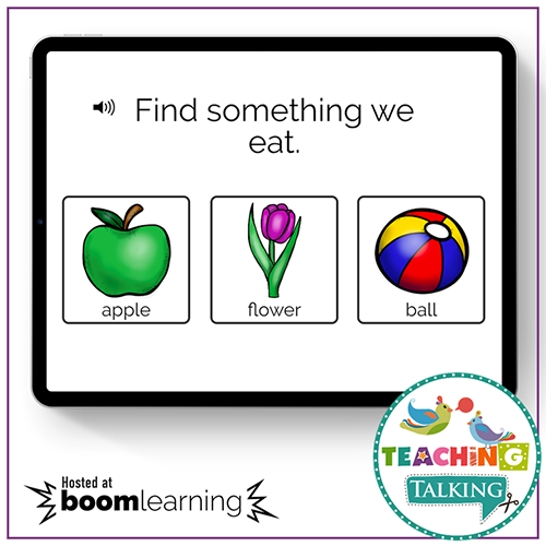 Teaching Talking BOOM Cards BOOM Cards - Understanding Early Nouns by Function
